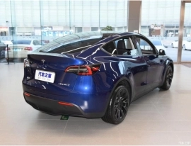 Tesla Model Y Long Range AWD (4WD)